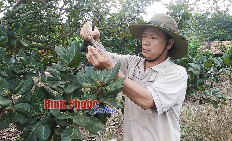 Thu cao nhờ áp dụng khoa học