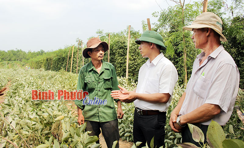 Mưa và lốc xoáy gây thiệt hại khoảng 10 tỷ đồng