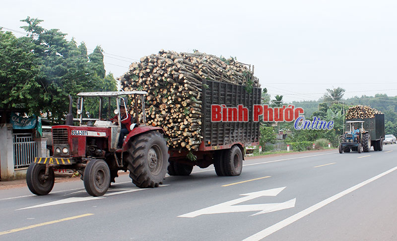 “Thản nhiên” lưu thông trên quốc lộ