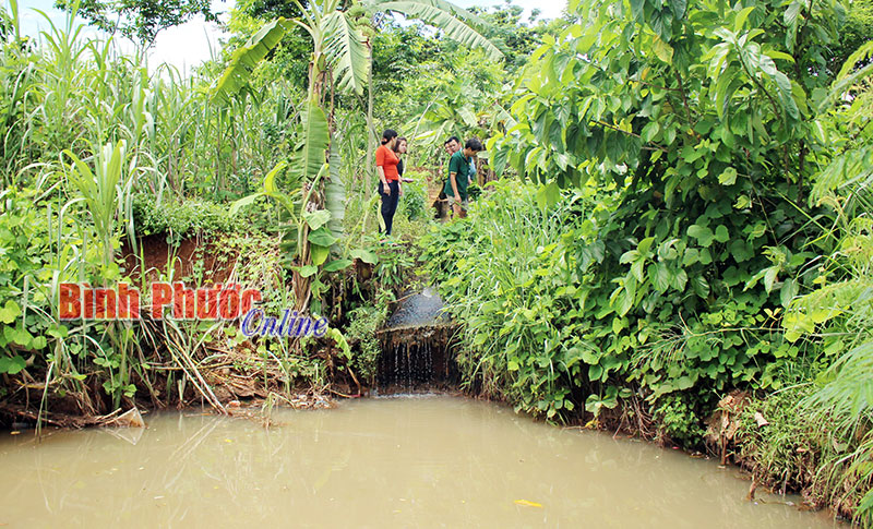 Nỗi khổ mùa mưa