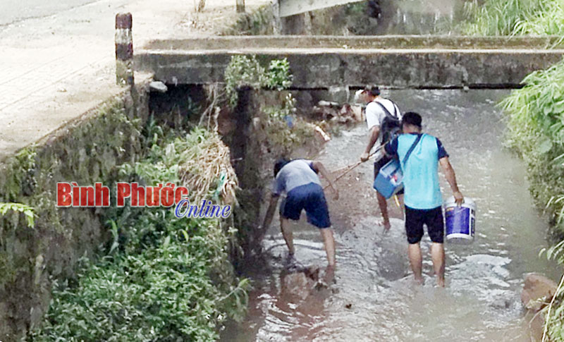  “Vô tư” vi phạm!?