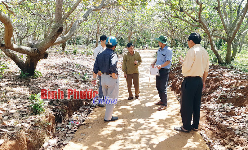 Xã Đường 10 đưa vào sử dụng hơn 3,2km đường bê tông xi măng