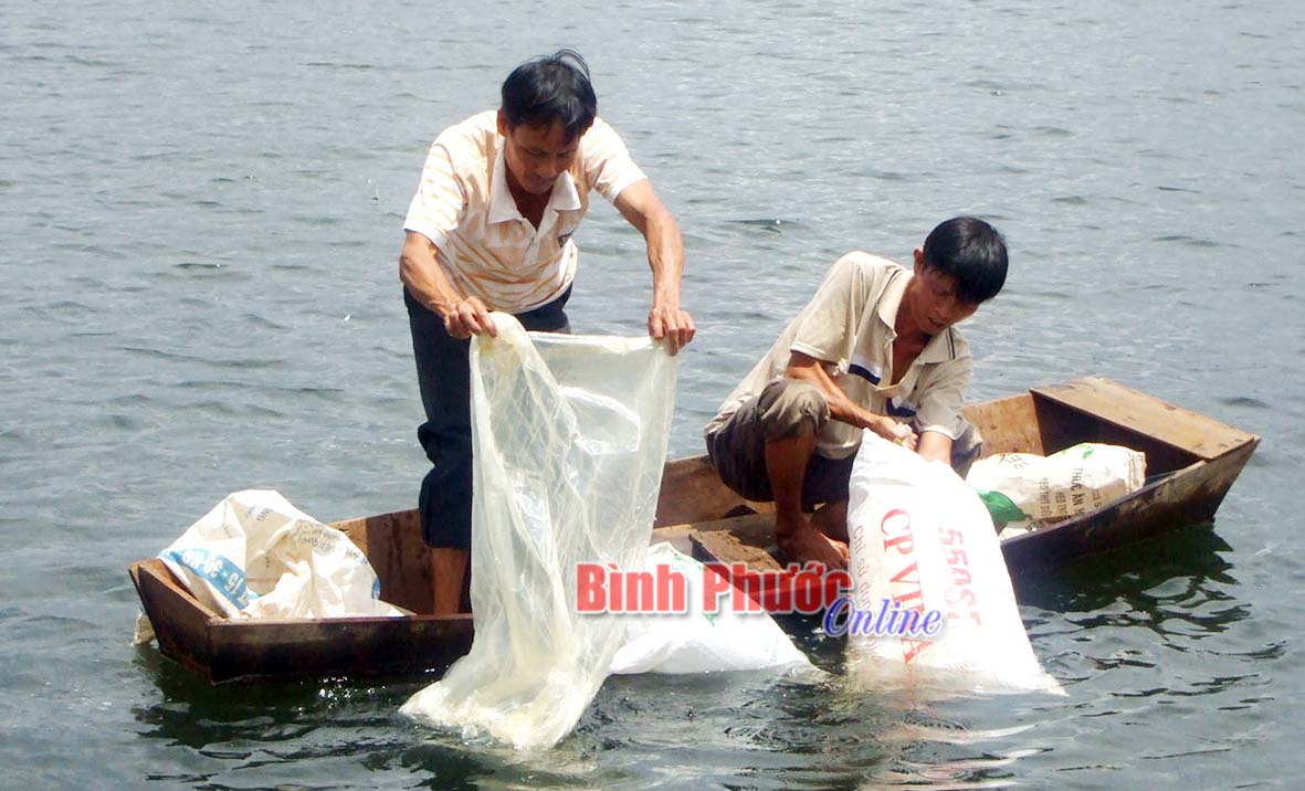 Nông dân huyện Phú Riềng thả cá giống xuống hồ chứa thủy lợi để bảo vệ nguồn lợi thủy sản
