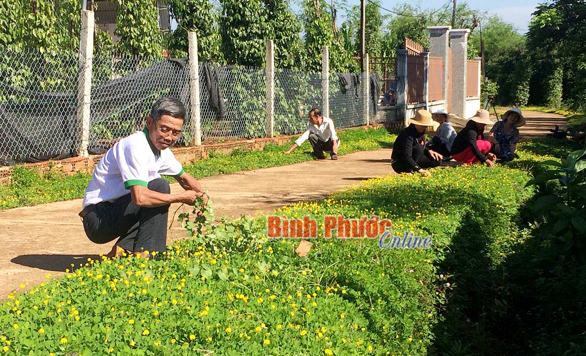 Hội viên phụ nữ và người dân ấp Thanh Sơn, xã Thanh Phú chăm sóc đường hoa tại tổ 3