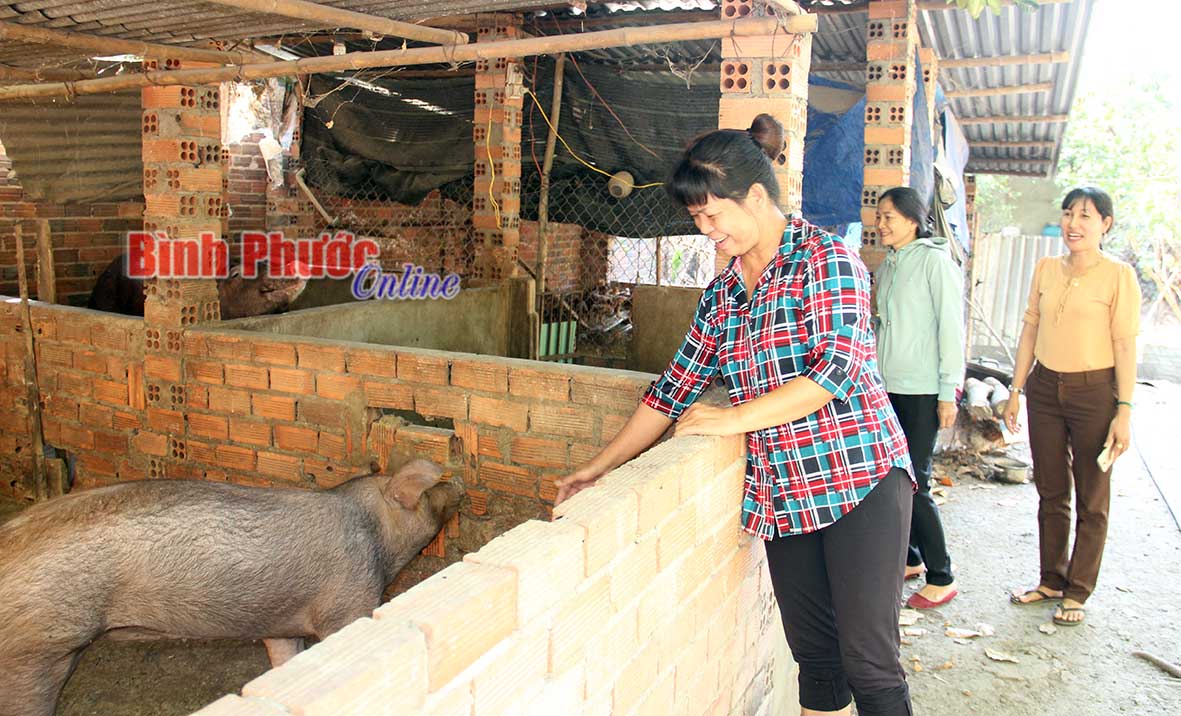 Hội Phụ nữ xã Nha Bích tham quan khu chăn nuôi của hộ chị Thái Thị Xoan