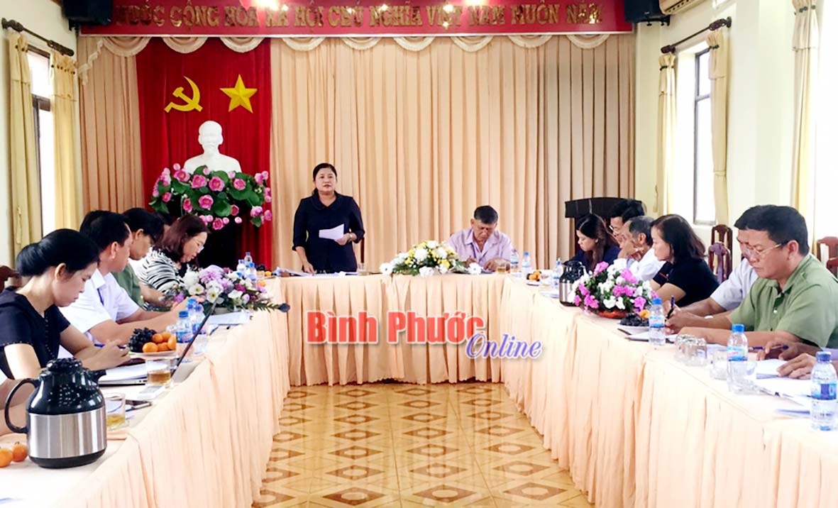 Đồng chí Trần Tuệ Hiền, Phó bí thư thường trực Tỉnh ủy, Chủ tịch HĐND tỉnh phát biểu chỉ đạo tại buổi làm việc