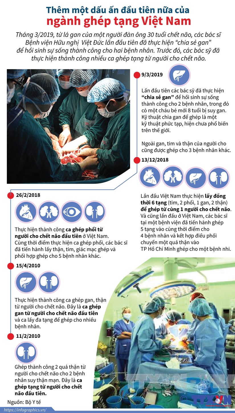 Them mot dau an tuyet voi nua cua nganh ghep tang Viet Nam hinh anh 1