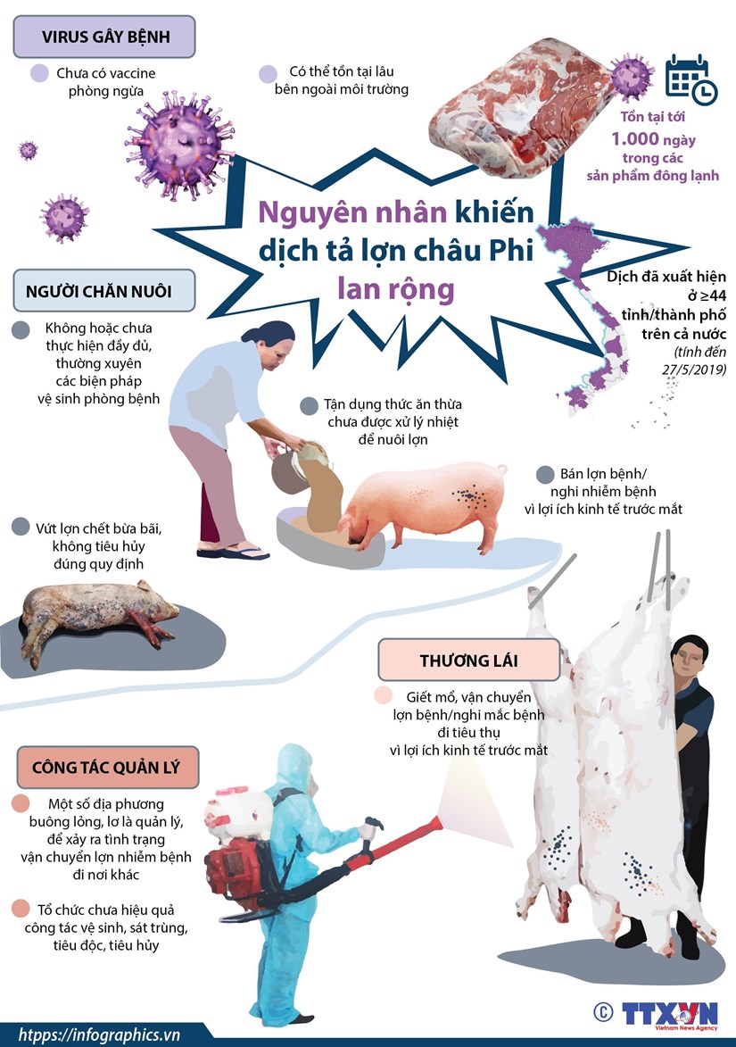 [Infographics] Nguyen nhan khien dich ta lon chau Phi lan rong hinh anh 1