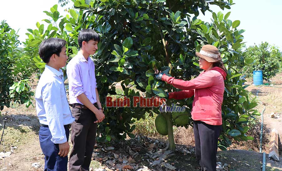 Chuẩn nông thôn mới: Đích đến không còn xa