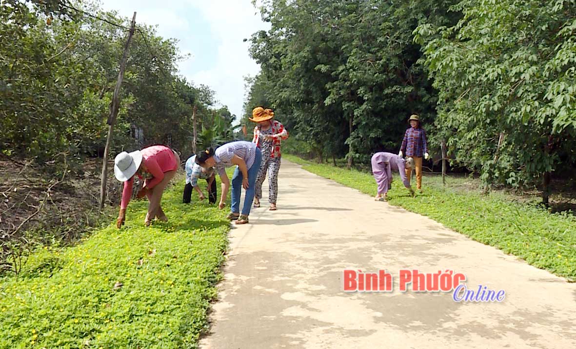 Nhân dân ấp Ruộng 2, xã Tân Quan làm cỏ đường hoa trên tuyến bê tông vào khu dân cư