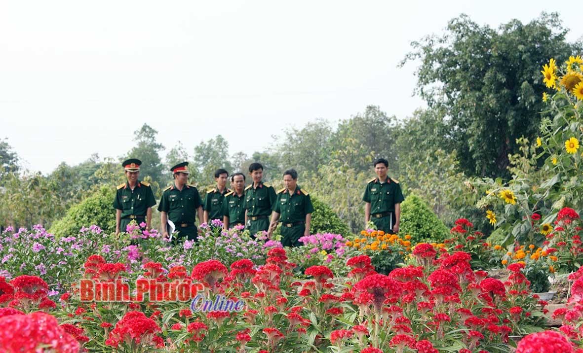 Vườn hoa thanh niên của Tiểu đoàn 208