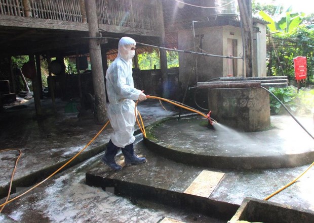 Ra soat tim phuong an hieu qua phong chong dich ta lon chau Phi hinh anh 1