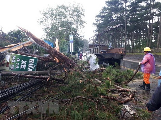 Set va nhung cach phong, tranh set khi xay ra mua giong hinh anh 1