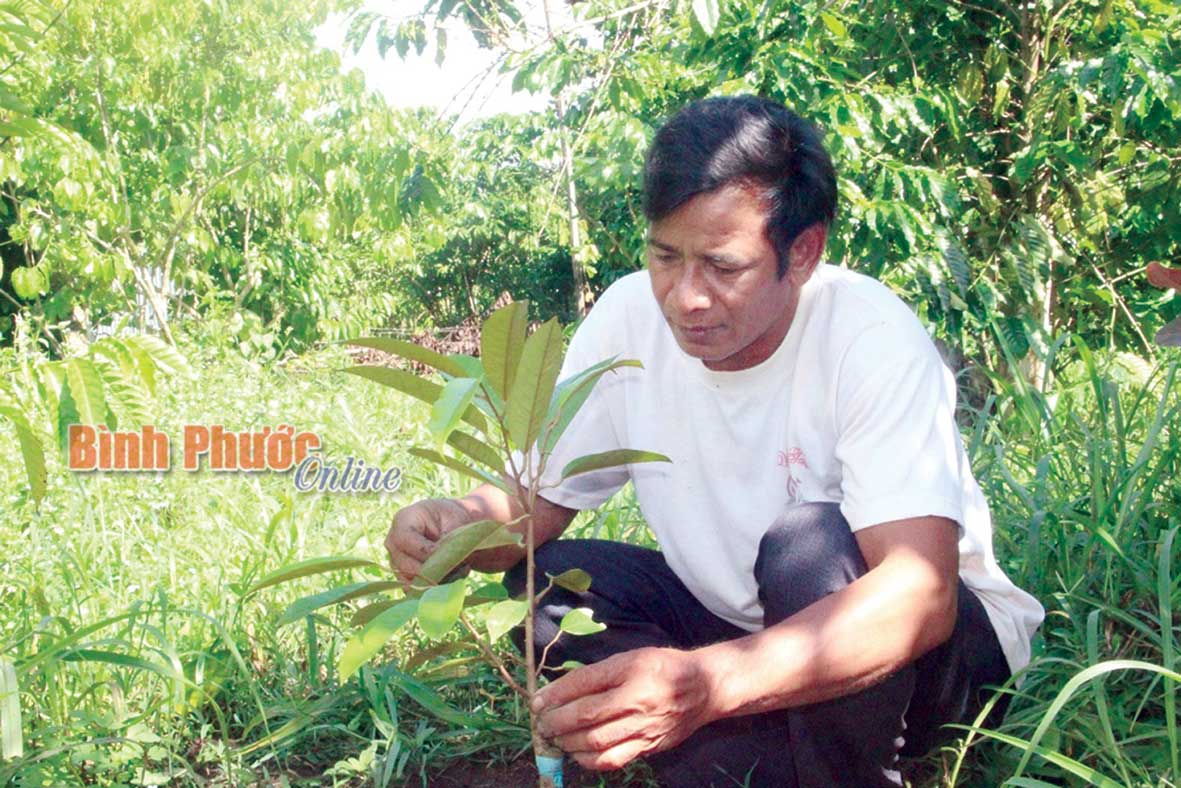 Anh Điểu Sơn mừng vì được hỗ trợ thực hiện dự án trồng cây sầu riêng