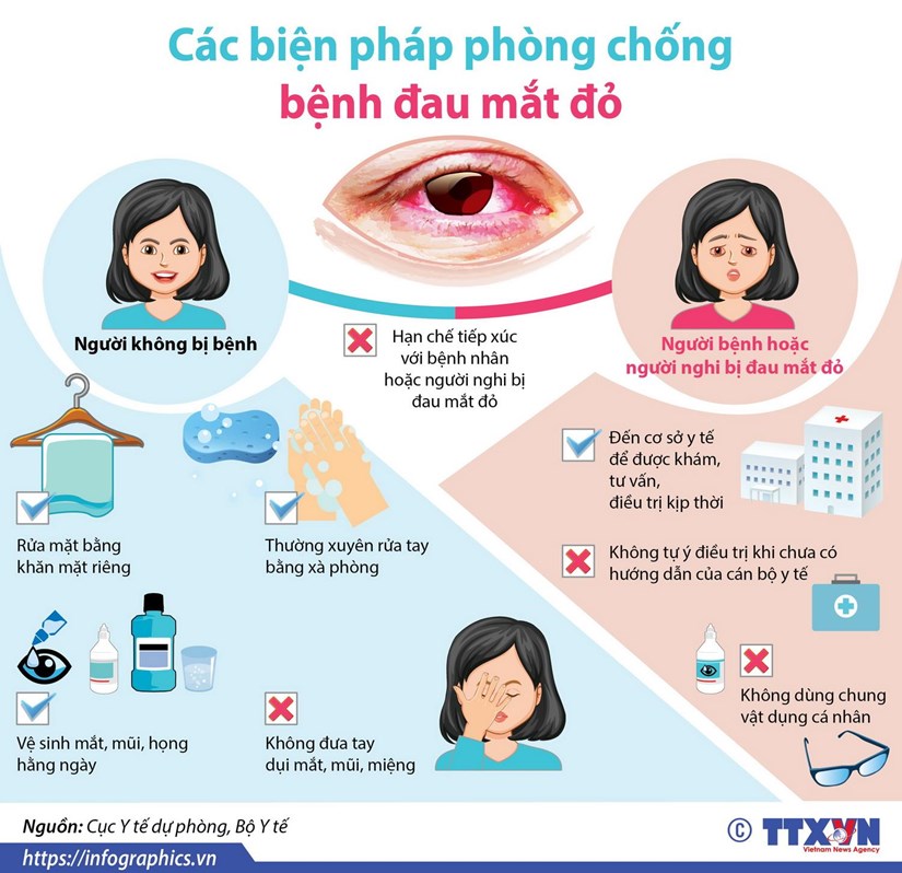 [Infographics] Cac bien phap phong chong benh dau mat do hinh anh 1