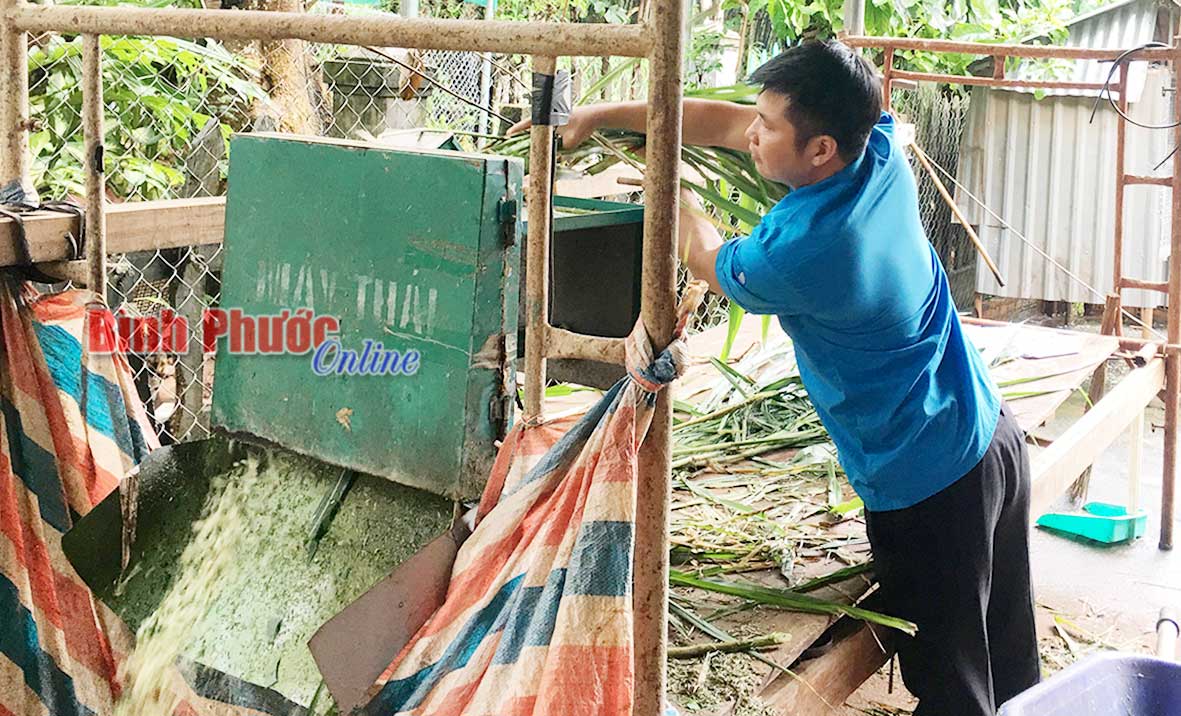 Sau công việc cơ quan, anh Nguyễn Văn Lịch cắt cỏ, chuẩn bị thức ăn cho đàn hươu sao của gia đình