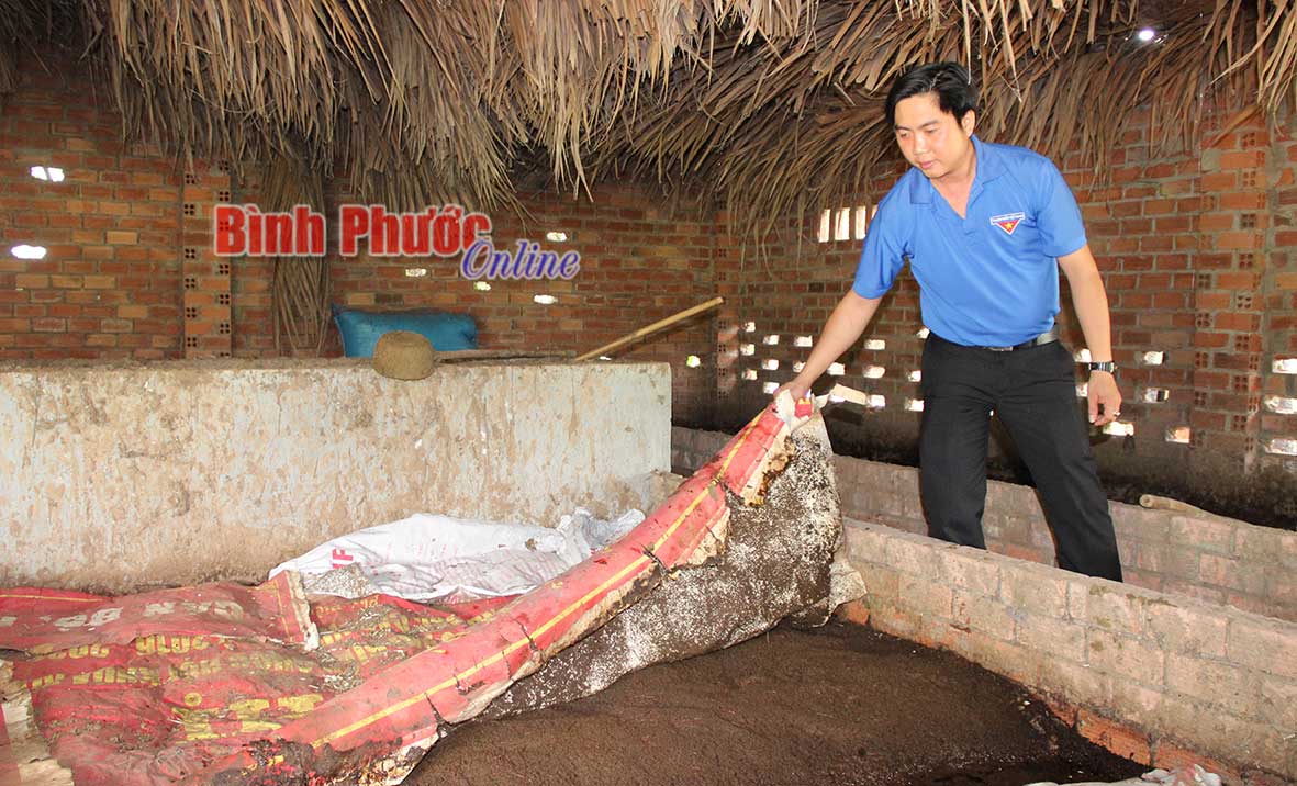 Anh Phạm Văn Lượng tận dụng phân bò nuôi trùn quế, lấy trùn quế nuôi gà, vịt và dùng phân trùn quế chăm sóc cỏ và cây ăn trái