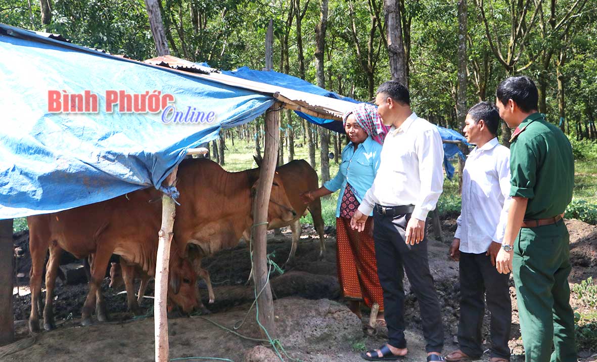 Trung đoàn 717 hỗ trợ đồng bào S’tiêng ở xã Hưng Phước (Bù Đốp) chăn nuôi hợp vệ sinh, tạo môi trường sống trong lành