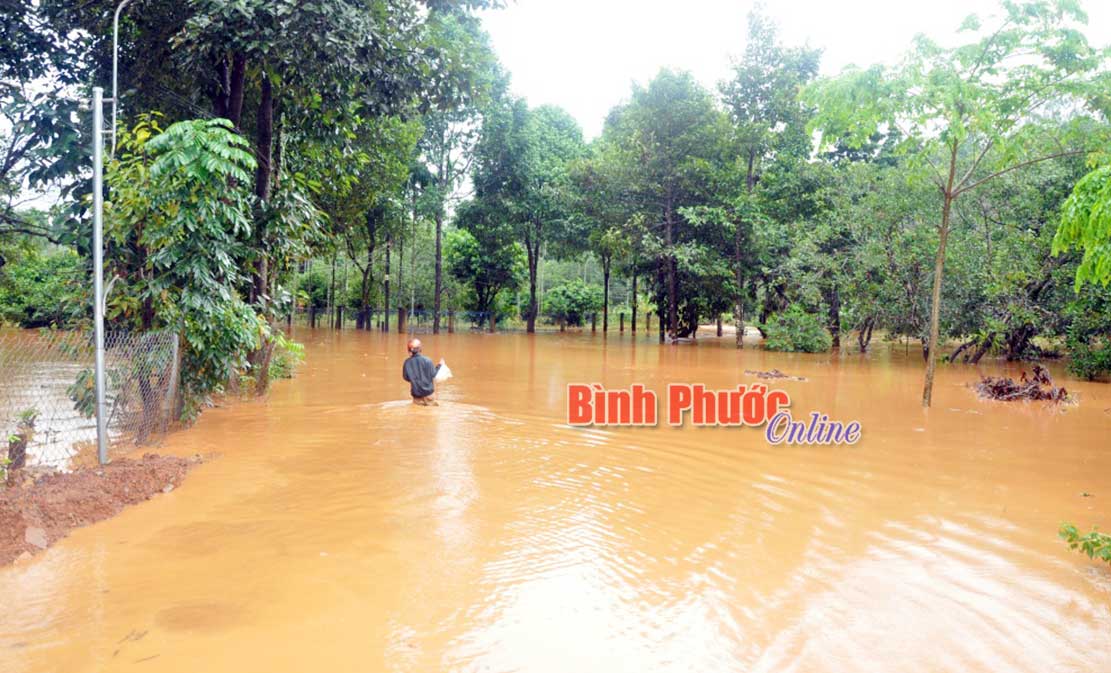 Bù Gia Mập, Bù Đăng: Mưa lớn gây ngập lụt diện rộng