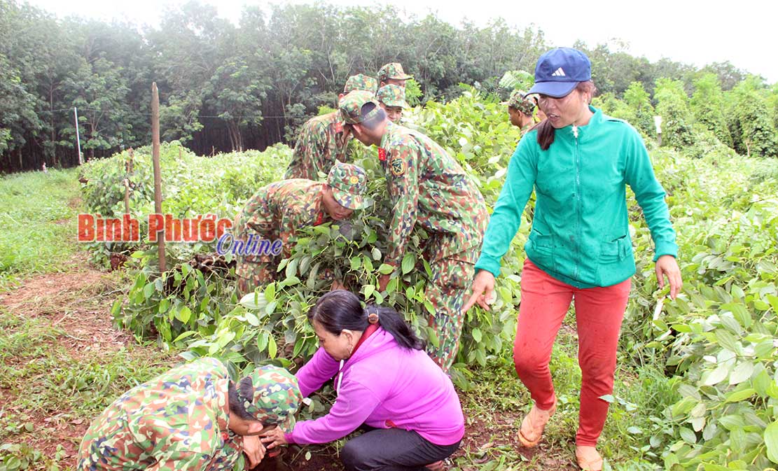 Bù Đốp: Lốc xoáy gây thiệt hại 700 triệu đồng