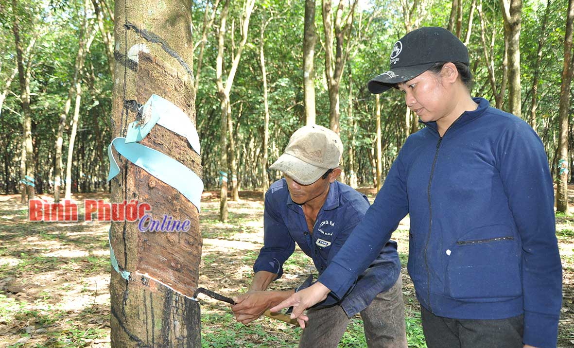 Đổi thay từ mô hình “Gắn kết hộ”