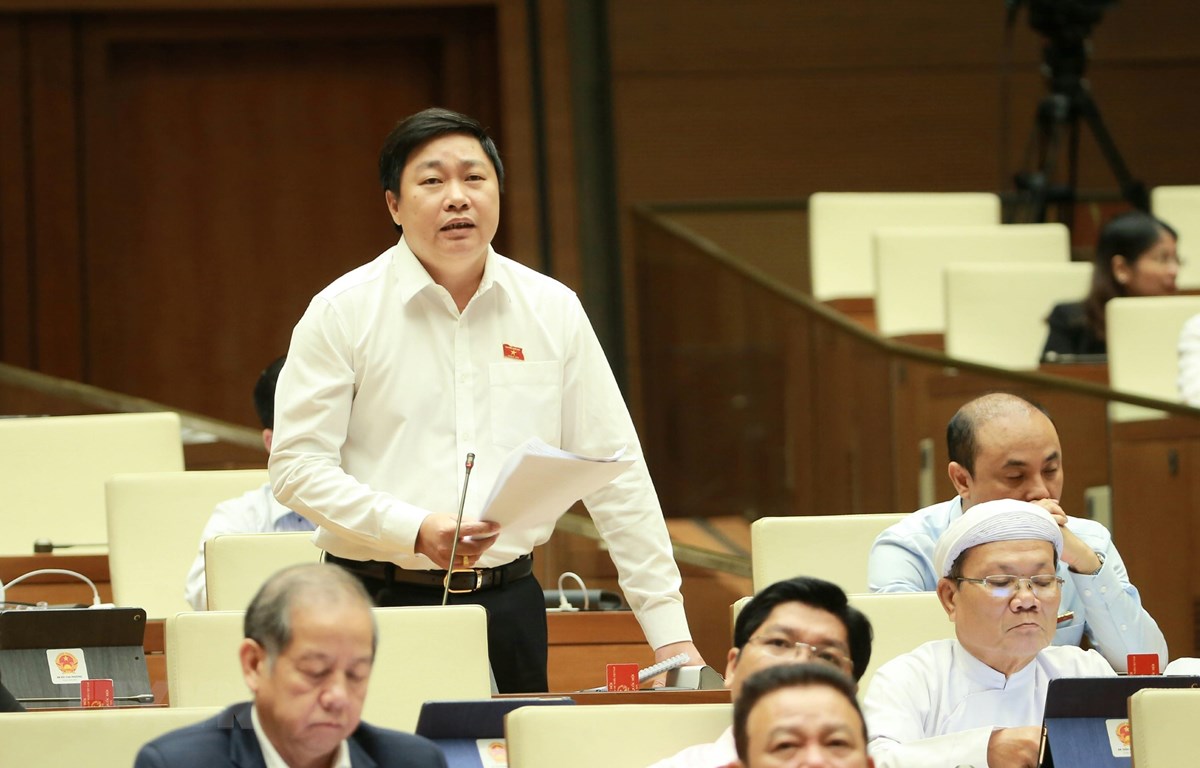 Đại biểu Quốc hội tỉnh Ninh Bình Mai Khanh phát biểu ý kiến. (Ảnh: Doãn Tấn/TTXVN)