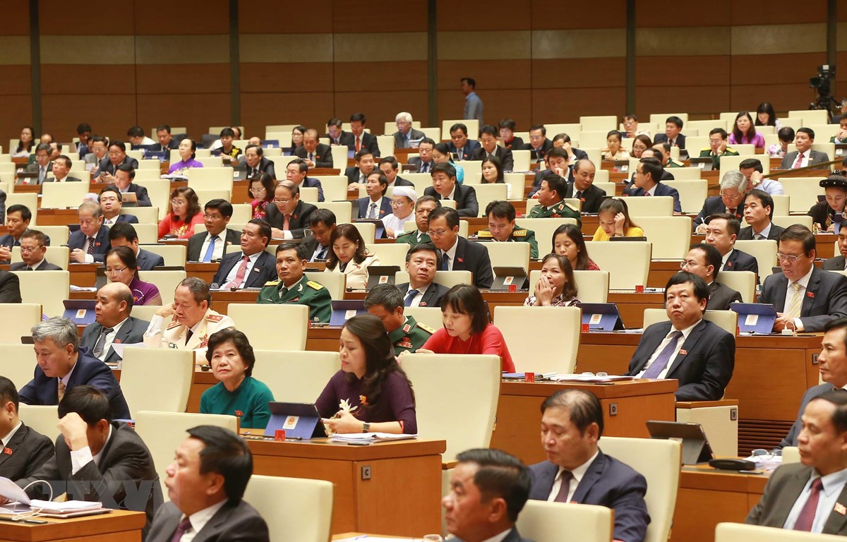 Các đại biểu tham dự Kỳ họp thứ 8, Quốc hội khóa XIV. (Ảnh: Doãn Tấn/TTXVN)