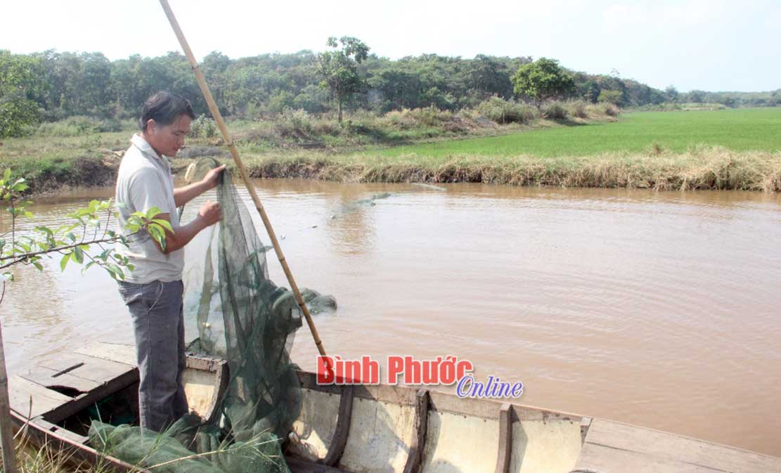 Làm giàu từ diện tích bán ngập