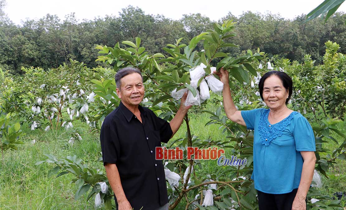 Học Bác, lòng ta trong sáng hơn