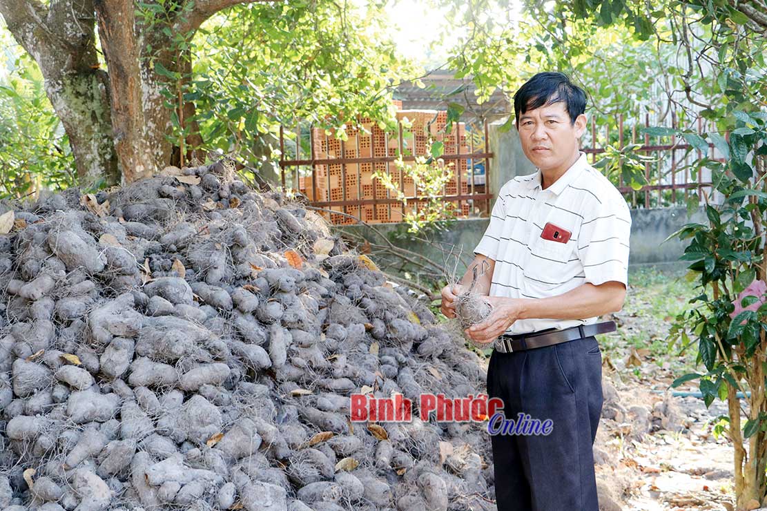 Nông dân kể chuyện làm giàu