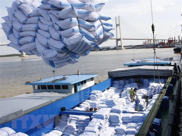 Tinh toan lai kich ban tang truong xuat, nhap khau nam 2020 hinh anh 1