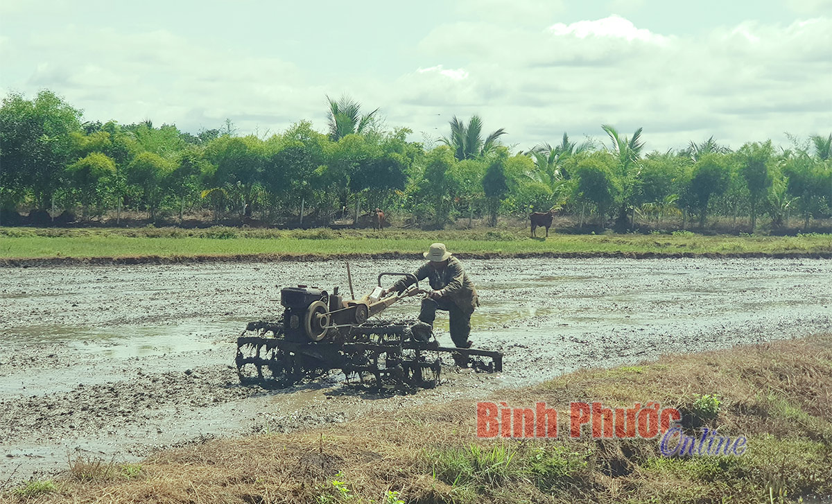 Hướng đến nền nông nghiệp xanh