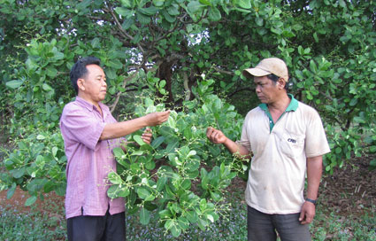 Tình đất và người Bom Bo