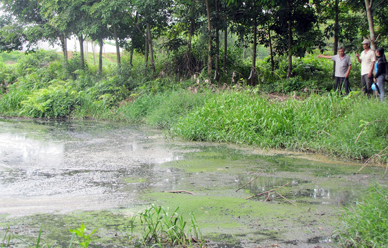 ô nhiễm môi trường