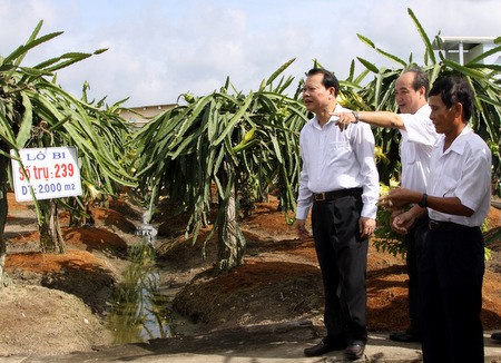 Ph&oacute; Thủ tướng Vũ Văn Ninh thăm vườn trồng thanh long của một hộ d&acirc;n ở Long An ng&agrave;y 27-7