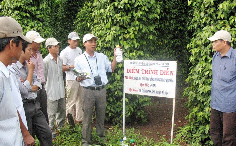 N&ocirc;ng nghiệp B&ugrave; Đốp