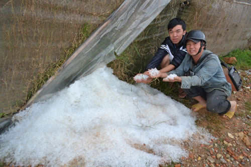 Mưa đá gây thiệt hại tiền tỉ 7