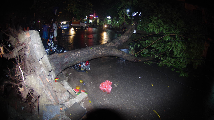 Hà Nội: mưa dông lớn, hàng loạt cây lớn ở phố cổ ngã đổ