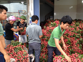 Khi nông dân “tìm giỏ bỏ trứng”