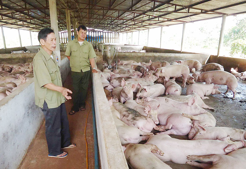 Cách làm giàu của một thương binh