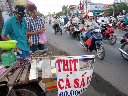 Người mua thịt cá sấu được người bán cho thêm gia vị, hướng dẫn cách chế biến