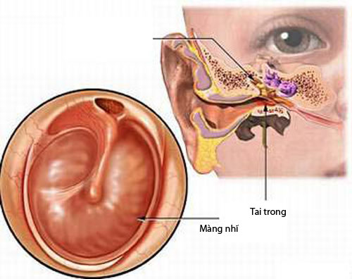 Phòng tránh viêm tai ở trẻ 1