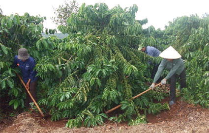 Thu thuế quý I đạt thấp