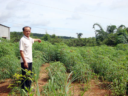 Xóa nghèo ở Tân Phước