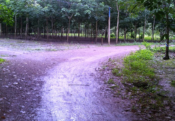 Hiện trường xảy ra vụ đ&aacute;nh nhau