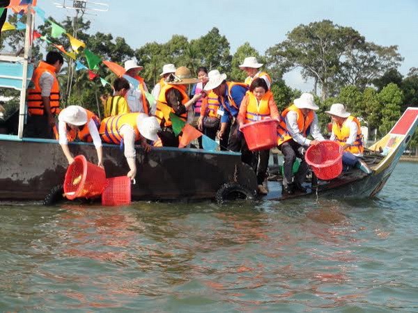 Thả hơn 290.000 cá giống bản địa quý hiếm ra sông Hậu