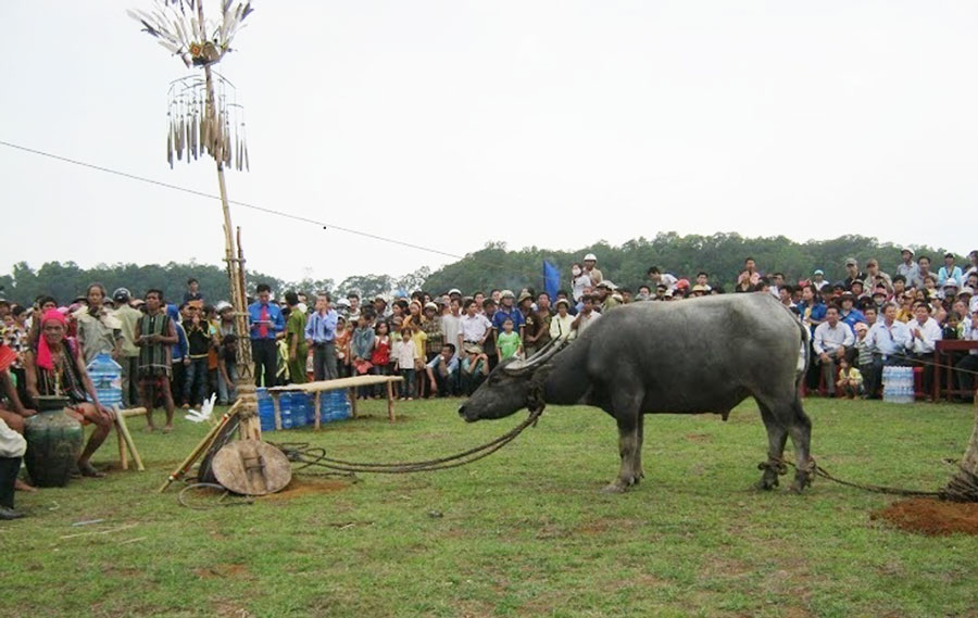Hồn trâu - “sứ giả” của đồng bào Xêtiêng