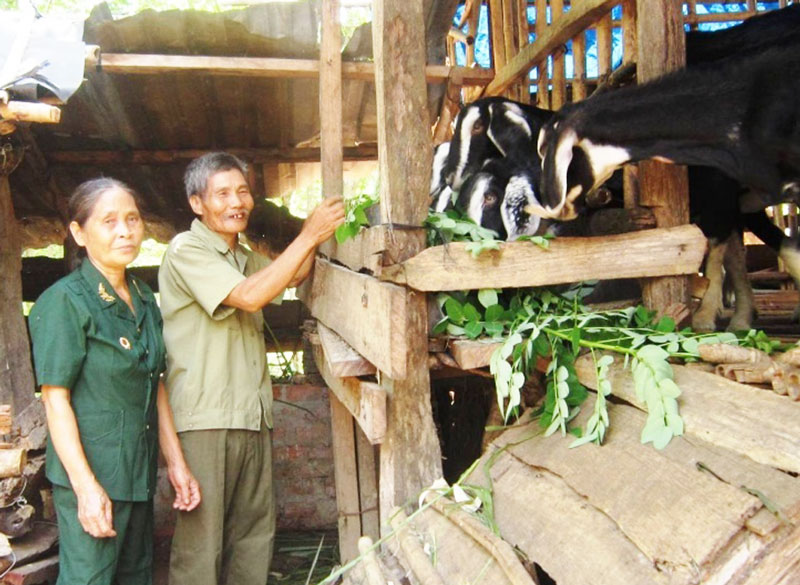 C&aacute;ch giảm ngh&egrave;o ở Hội Cựu chiến binh x&atilde; T&acirc;n Th&agrave;nh