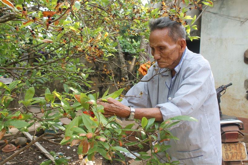 Hướng tới kỷ niệm 60 năm Chiến thắng Điện Bi&ecirc;n Phủ (7-5-1954 - 7-5-2014)