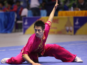 Hơn 100 võ sỹ dự giải Wushu-Taolu toàn quốc 2011 
